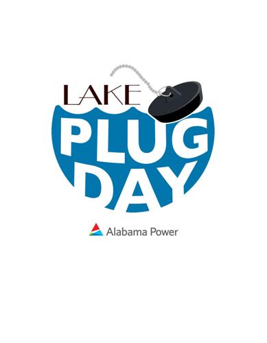 What Really Happens on Plug Day