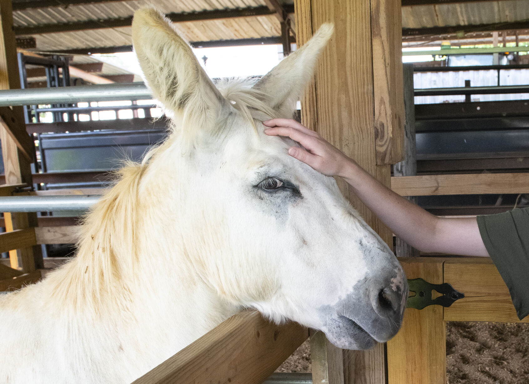 PHOTOS: Bar J Farms is an extended family