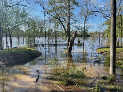 Elmore County still assessing storm damage