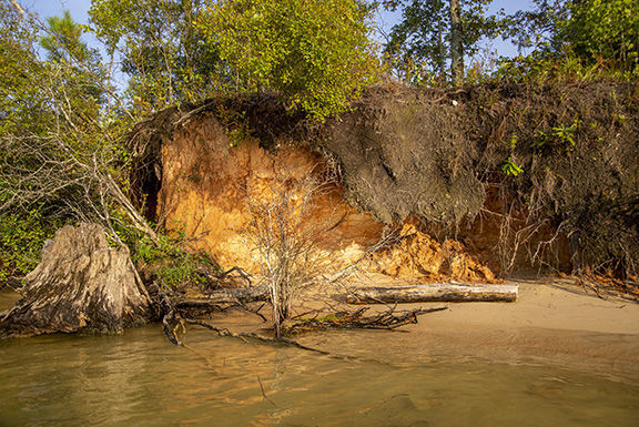 What's Reshaping Lake Martin
