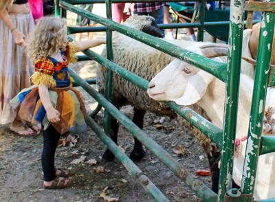 IT’S FALL Y’ALL: Fall festivals are popping up around Lake Martin
