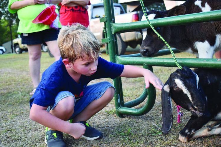 PHOTOS: National Night Out in Alexander City