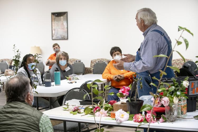 PHOTOS: Camellia grafting workshop