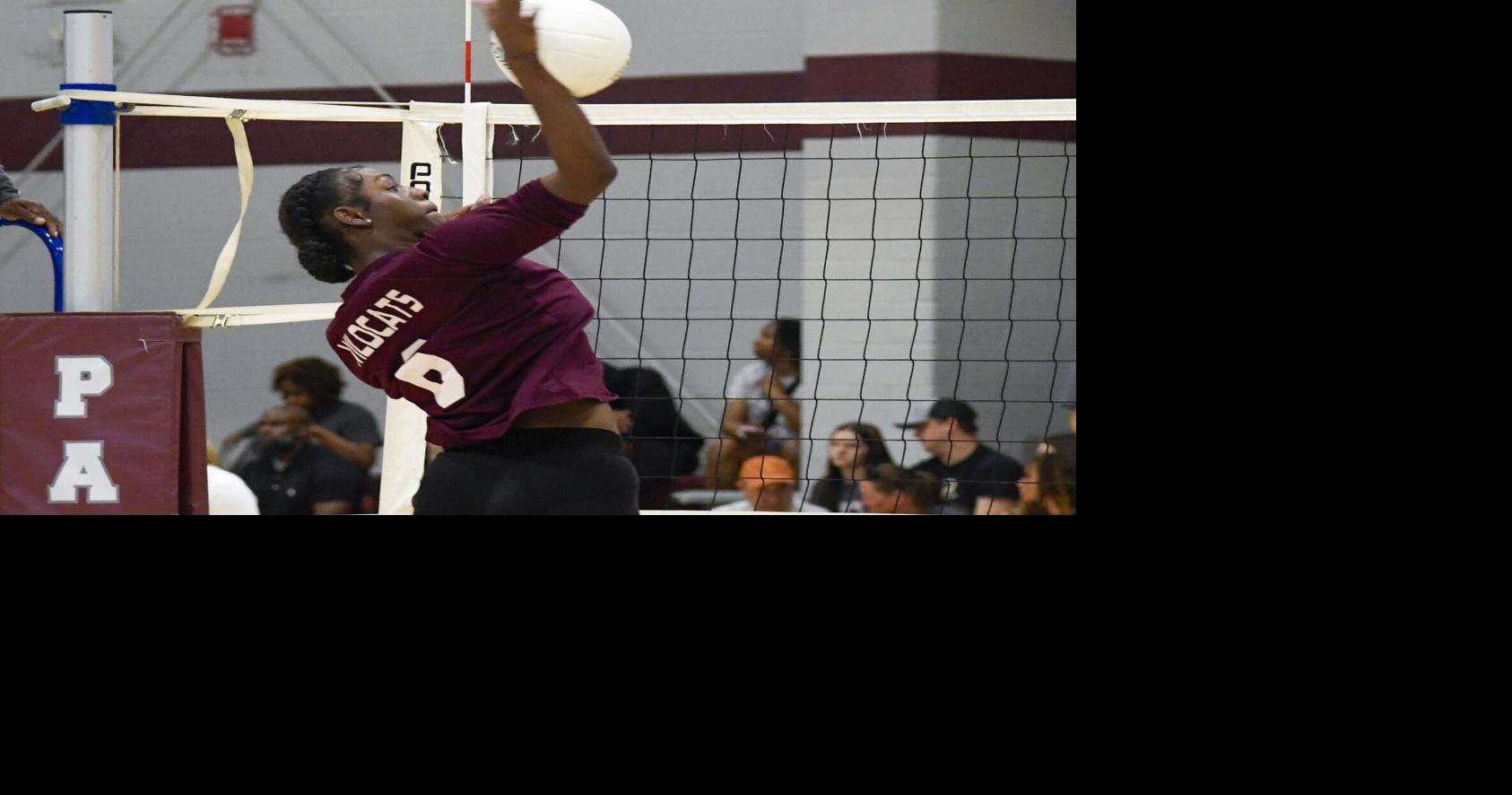 Wildcats stay busy in summer play date