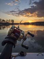 Part I: The 'Other' Season at Lake Martin