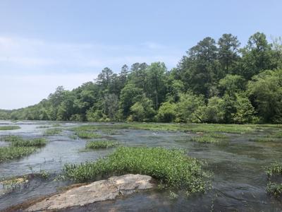 Care for the lake means caring for the streams