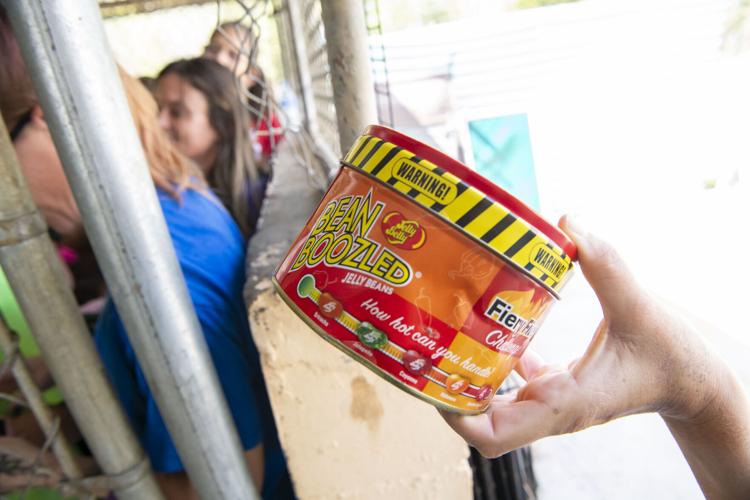 PHOTOS: Jordan's Way helps raise funds for animal shelters