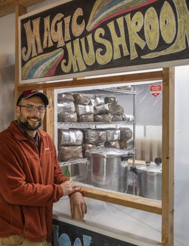 Mad About Mushrooms