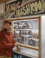 Mad About Mushrooms