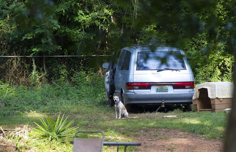 16 cats, 14 dogs, 3 pigs, 1 duck seized in Dadeville animal cruelty case