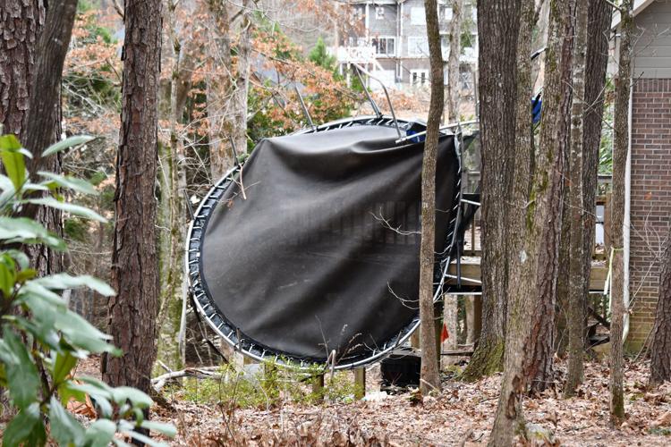 PHOTOS: Storm damage around the Lake Martin area