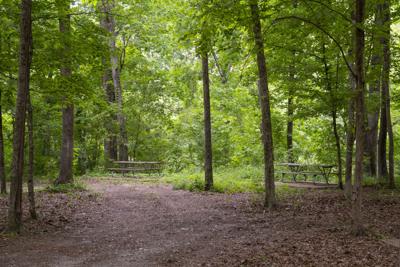 Volunteers cleanup park before swimming season