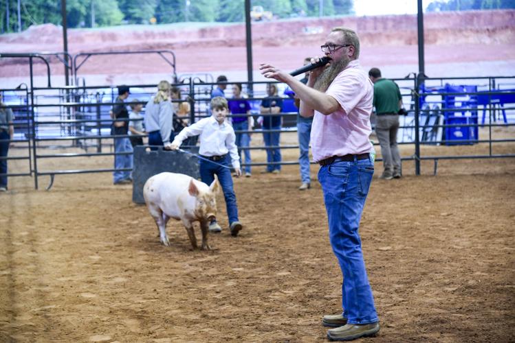 050226Pig1.jpg