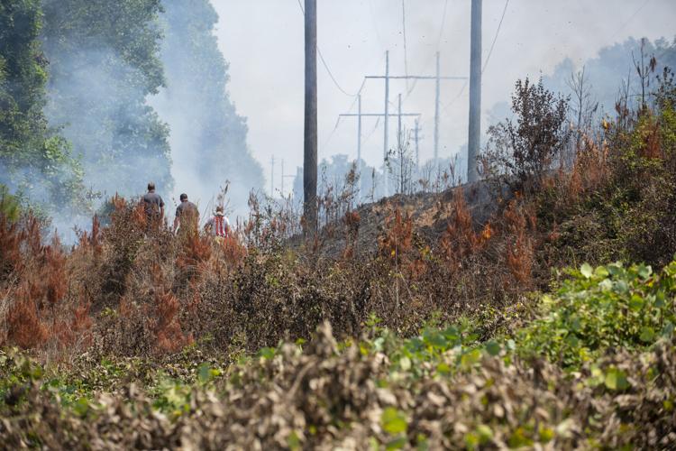 PHOTOS: Brush fire between Riverchase Drive and Sturdivant Road