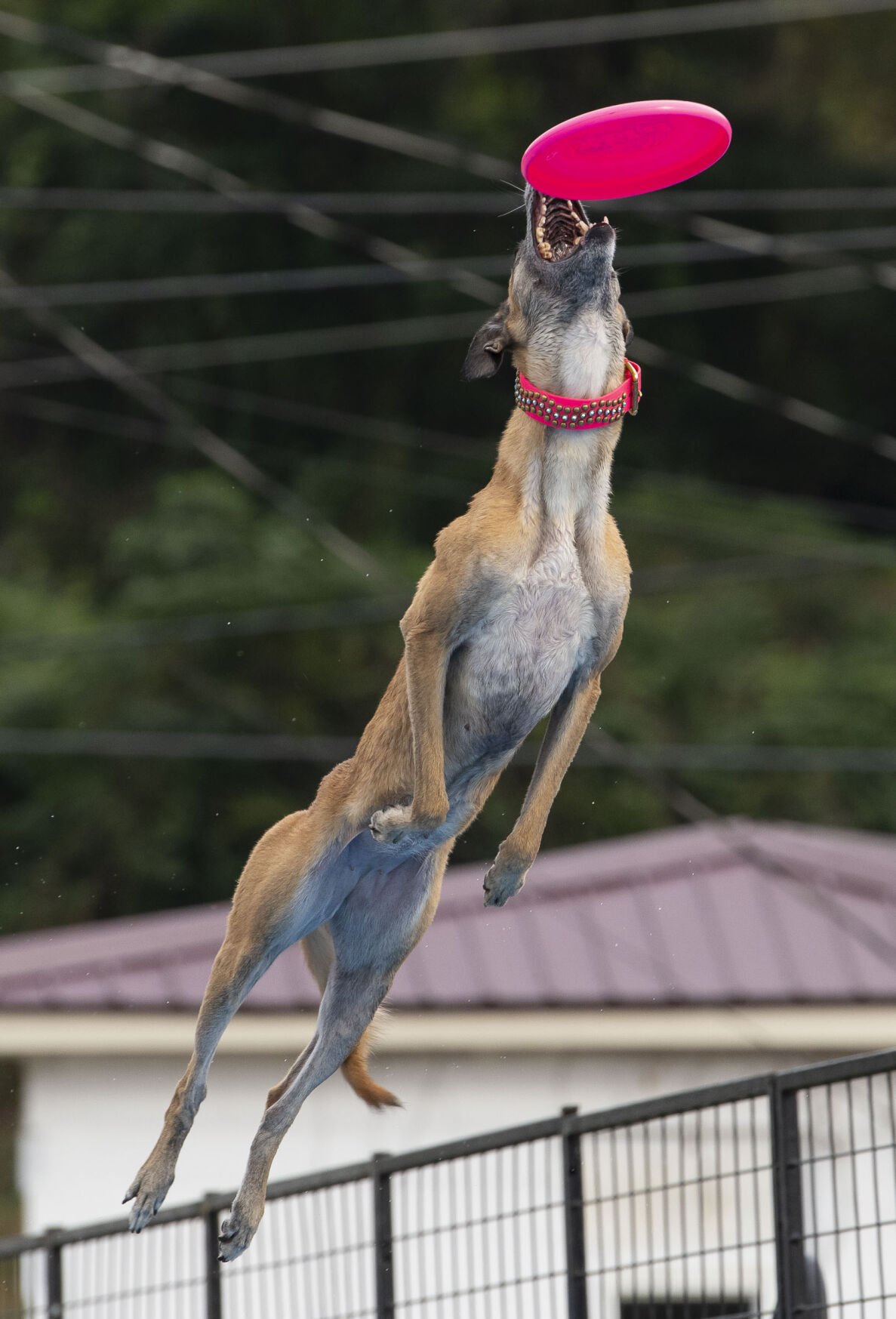 20251029 WEWA013.jpg