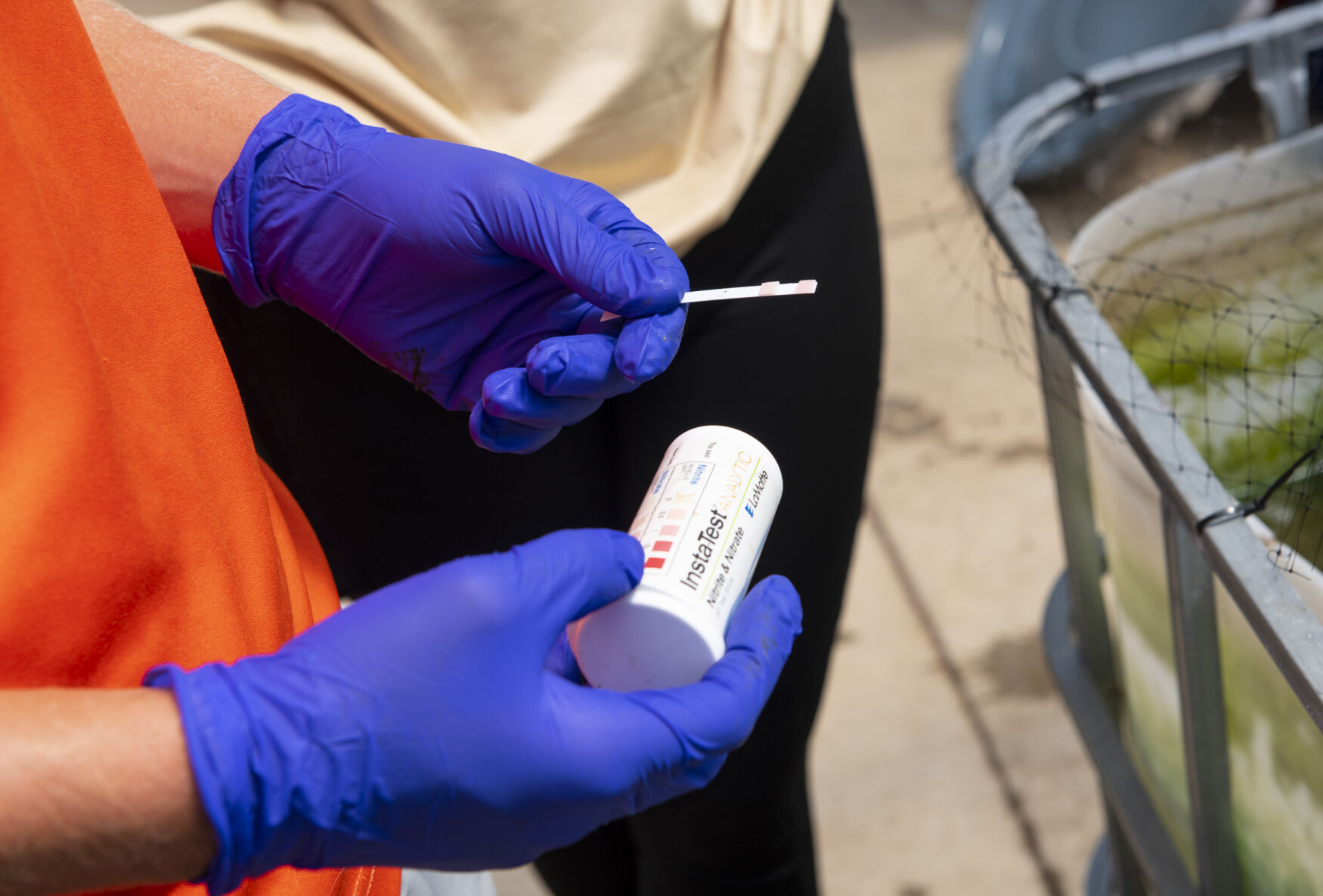 PHOTOS: Growing tilapia and tomatoes at Tallassee High School