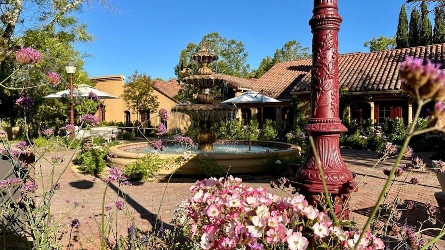 Vinarosa Resort & Spa Courtyard