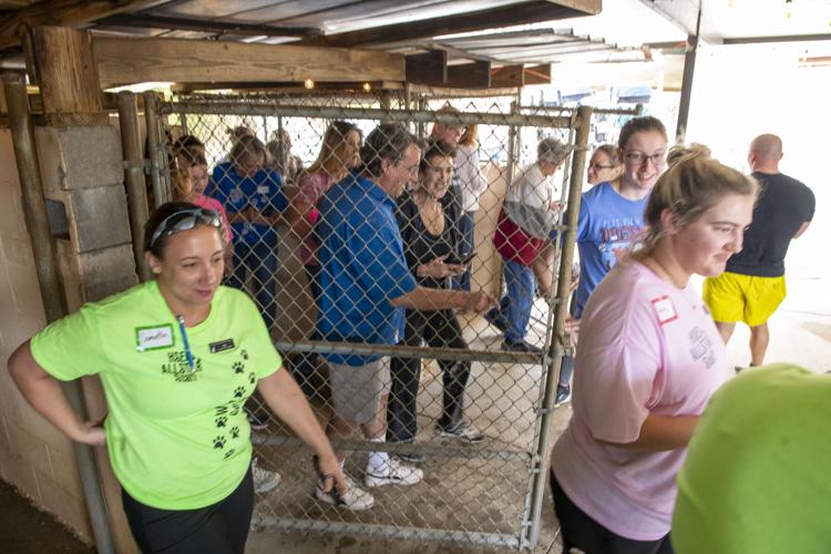 PHOTOS: Jordan's Way helps raise funds for animal shelters