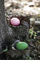 Citywide Easter Egg Hunt starts March 1