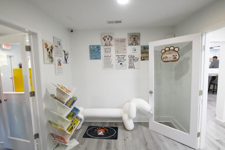 PHOTOS: Dogs now learning at Fur Baby Univeristy