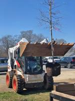 Beautification board gives Dadeville the royal TREEtment