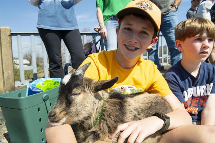 PHOTOS: Order of Cimmaron Mardi Gras Parade in Wetumpka
