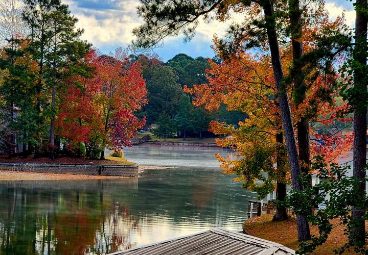 Fall Colors 3.jpg
