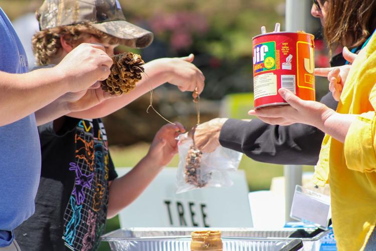 PHOTOS: Plants in the Park