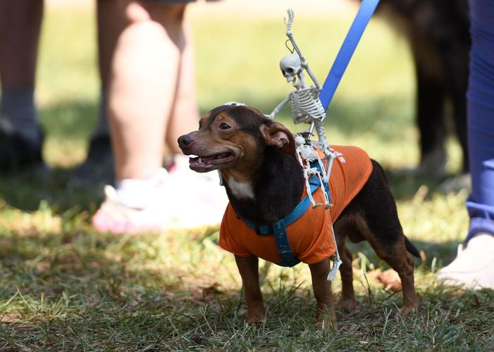 20260923 Bark in the Park 006.jpg