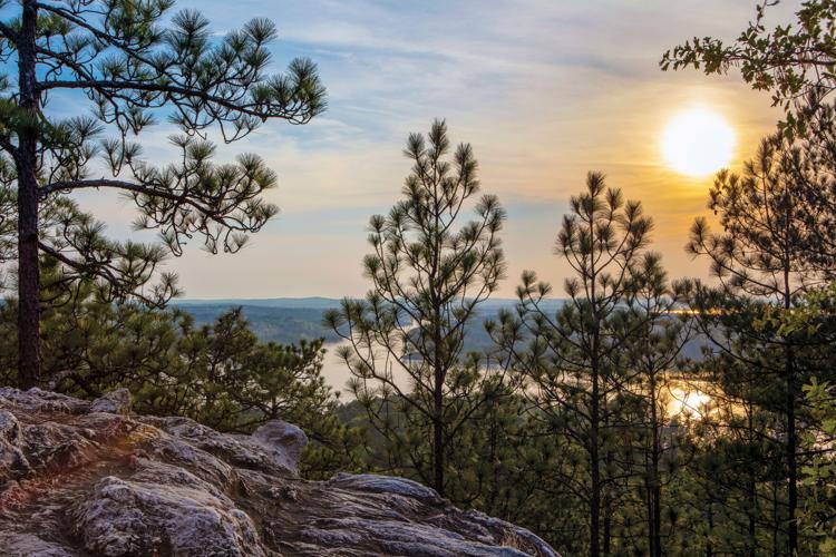 Alex City native captures beauty of area in Times photo essay