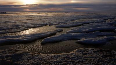 A scientific case for climate optimism with ecologist Tom Crowther