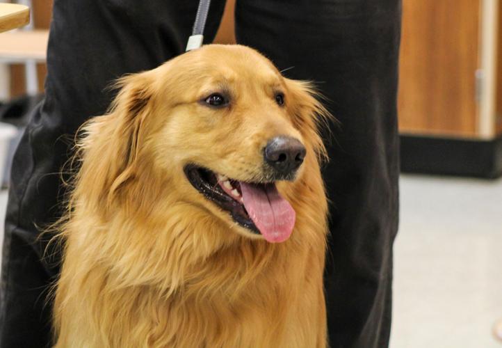 4-H dog program makes its rounds in schools