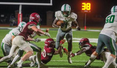 10125 Holtville-Beauregard preview.jpg