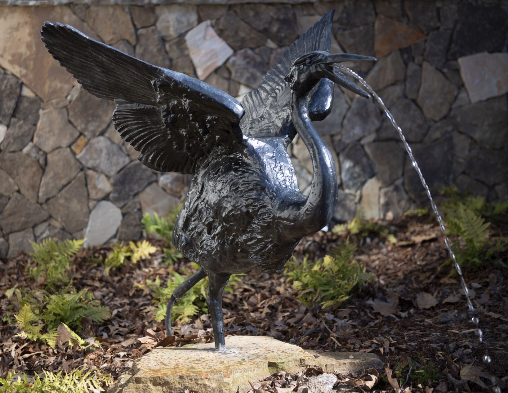 Remarkable Renovations Collection