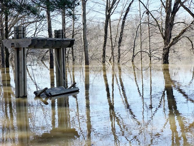 PHOTOS: Coosa River over its banks in Wetumpka