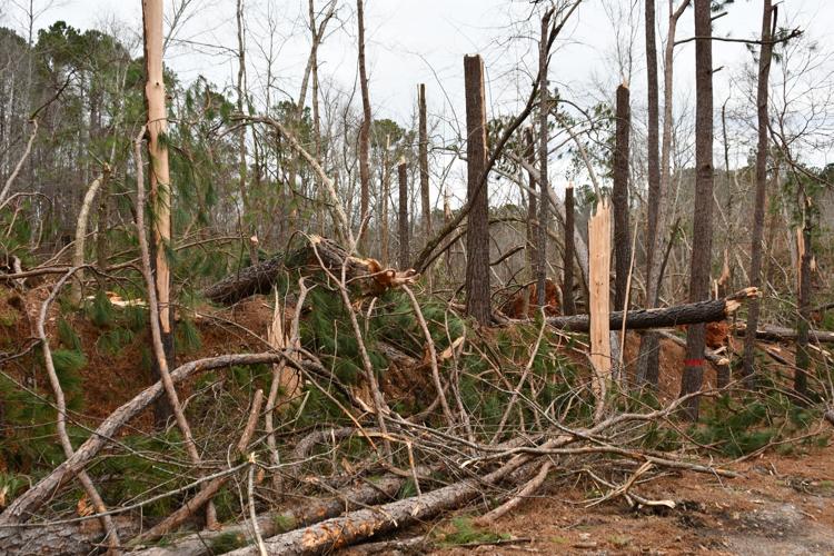 PHOTOS: Storm damage around the Lake Martin area