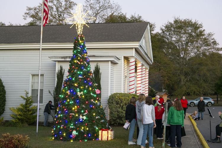 PHOTOS: Christmas tree in Eclectic is lit