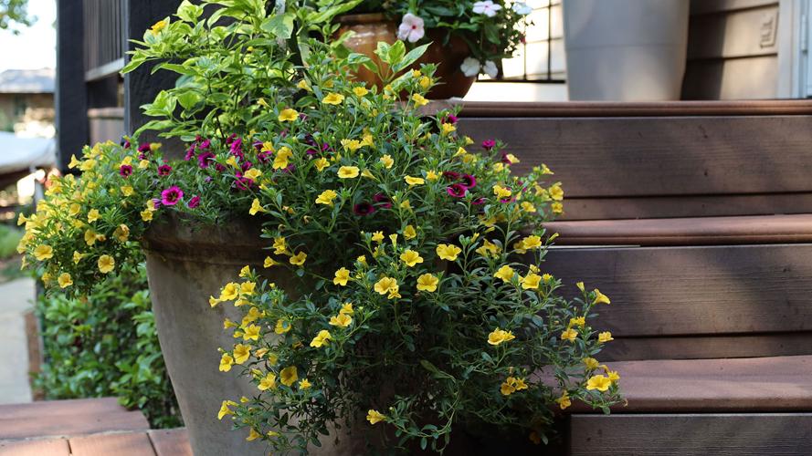 Cue the colorful containers