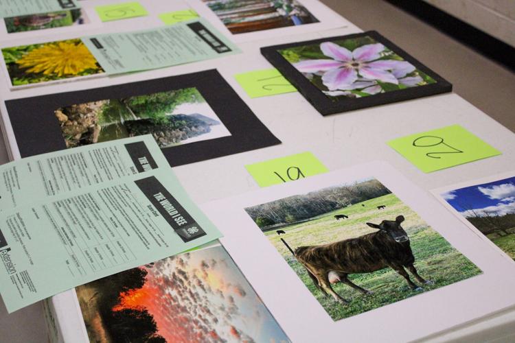 Tallapoosa County 4-H holds county contest