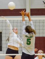 PHOTOS: Elmore County hosts Holtville in area volleyball showdown