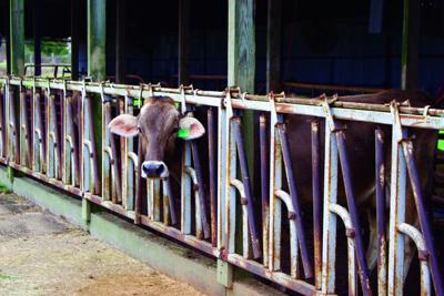 Sanders is fourth-generation farmer at Blue Ribbon Dairy