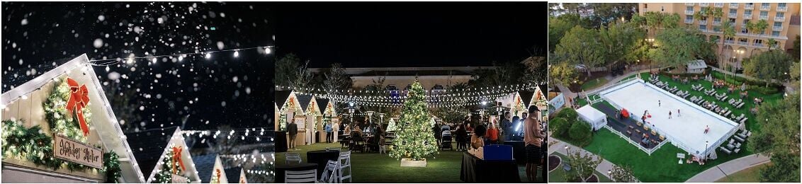 Winter Festive