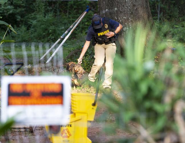 16 cats, 14 dogs, 3 pigs, 1 duck seized in Dadeville animal cruelty case