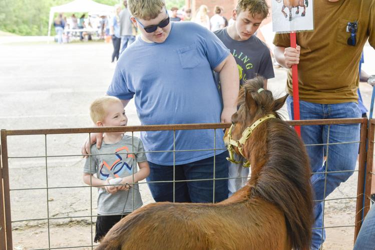 051326HBSFarmDay14.jpg