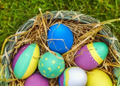 Eggcellent