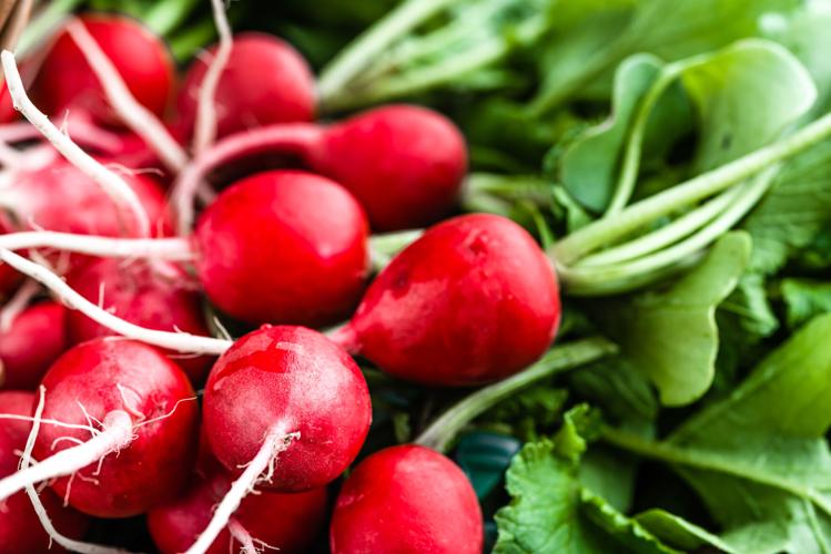 Small Space Gardening