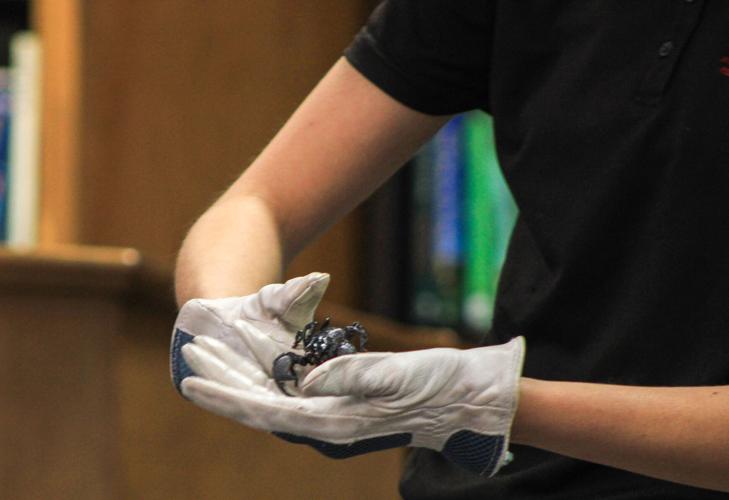 PHOTOS: Animal Tales comes to Dadeville's library