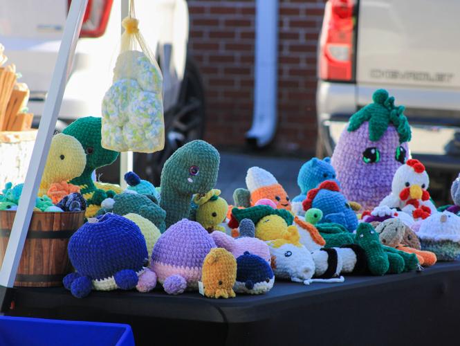 PHOTOS 10th annual Dadeville Fall Festival