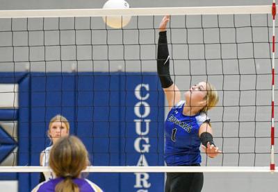 101125 coosa area preview.jpg