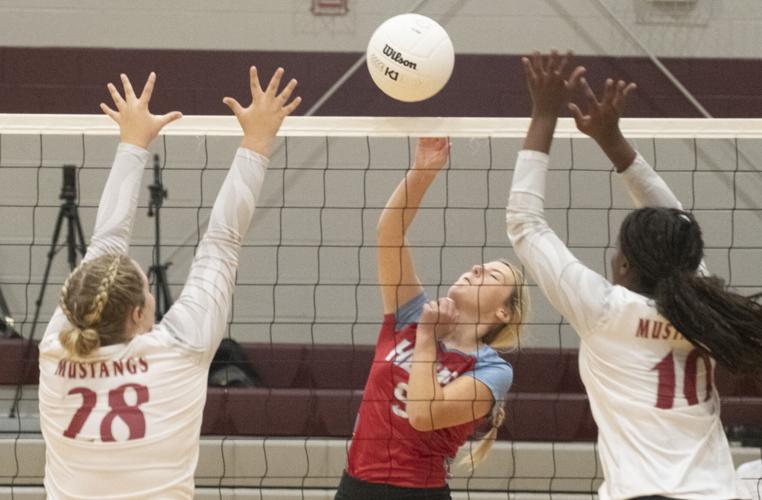 PHOTOS: Elmore County volleyball hosts block party
